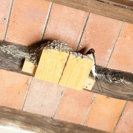 Appartamento Casa Velia Uzzano Esterno foto